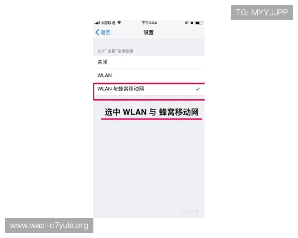 快速解决K8视讯登录相关疑问的实用技巧和建议