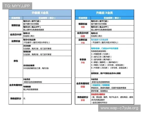 盛世VIP会员制度全面介绍帮助你理解不同等级的专属权益与升级路径